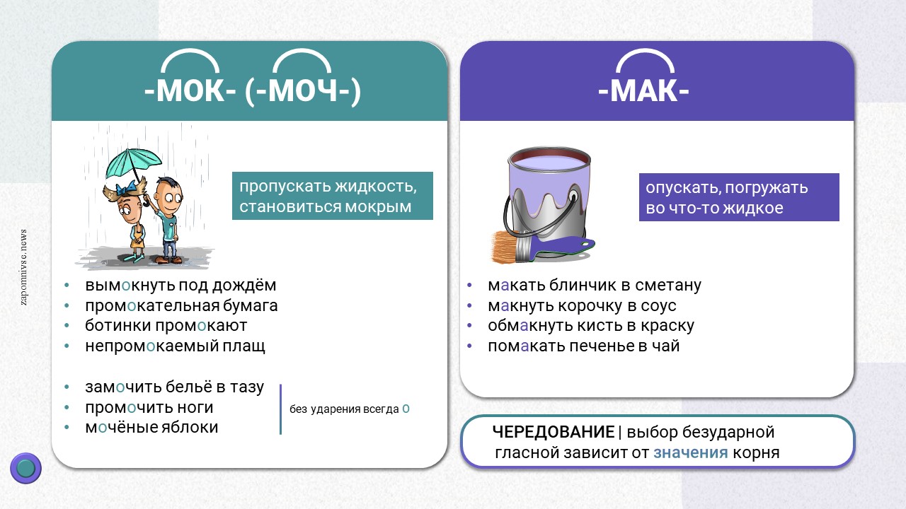 Корни мак мок